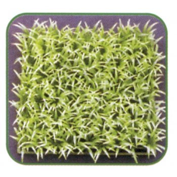 RESUN PRATO COMPONIBILE ILEOPSIS 15X15 CM PS2001